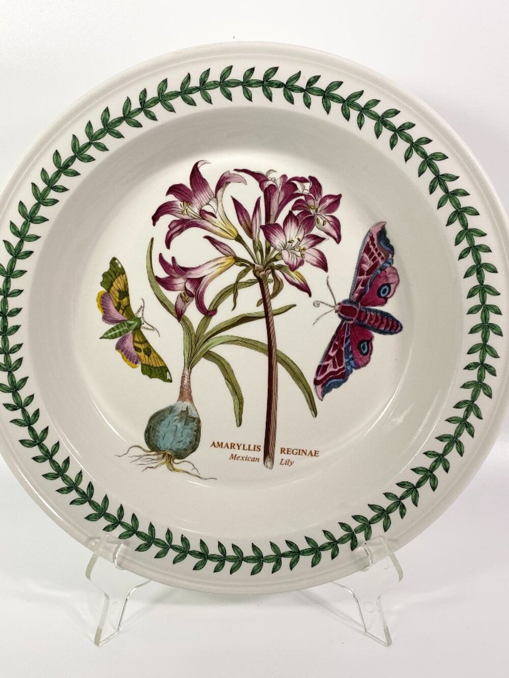 Portmeirion Botanic Garden 10.5" rimmed Dinner Plate AMARYLLIS REGINAE Lily